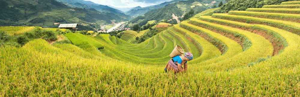 sapa_vietnam