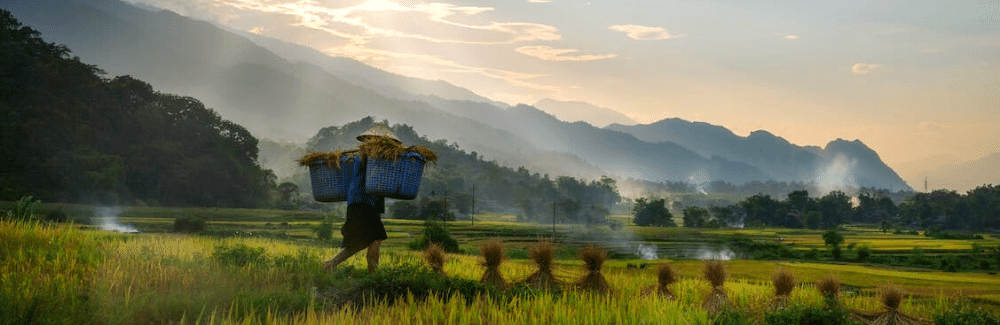 Sapa voyage veitenam incontournable vietnam